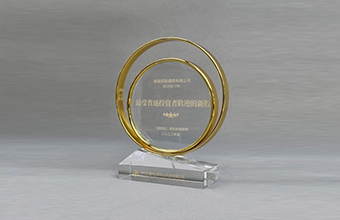 最受普通投資者歡迎的新股